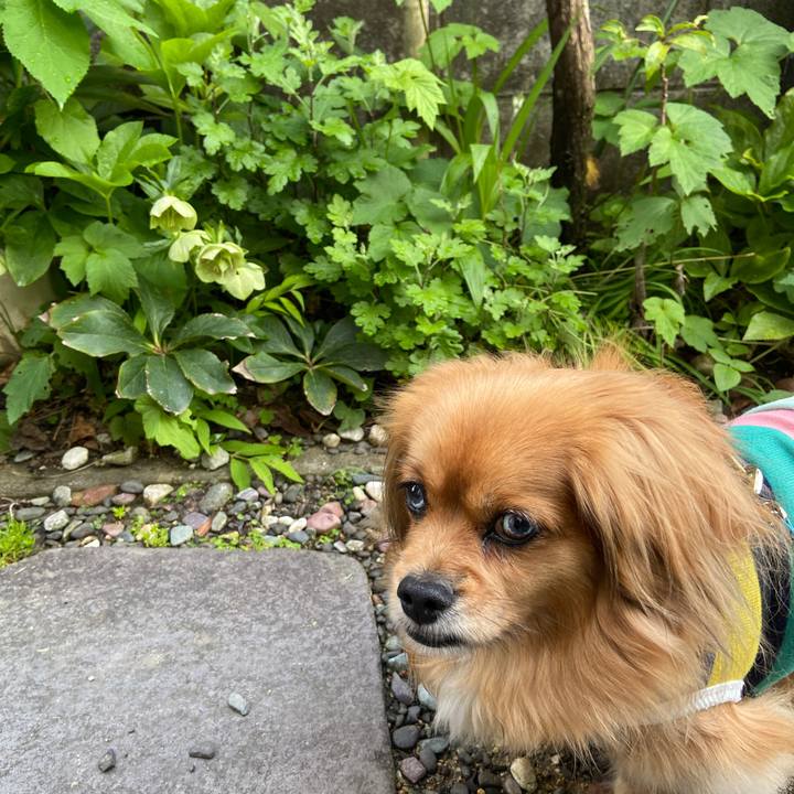 Dec486fd 7b55 46b4 8cb3 56f3acb30a77 1620423989275