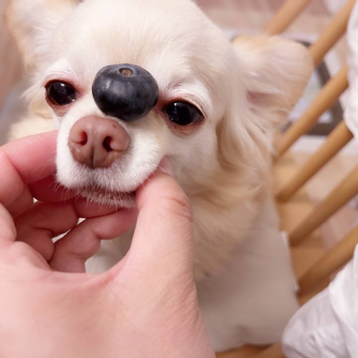 Dec4bf64 a231 4e1c af08 27001fac0b93 1752238466134