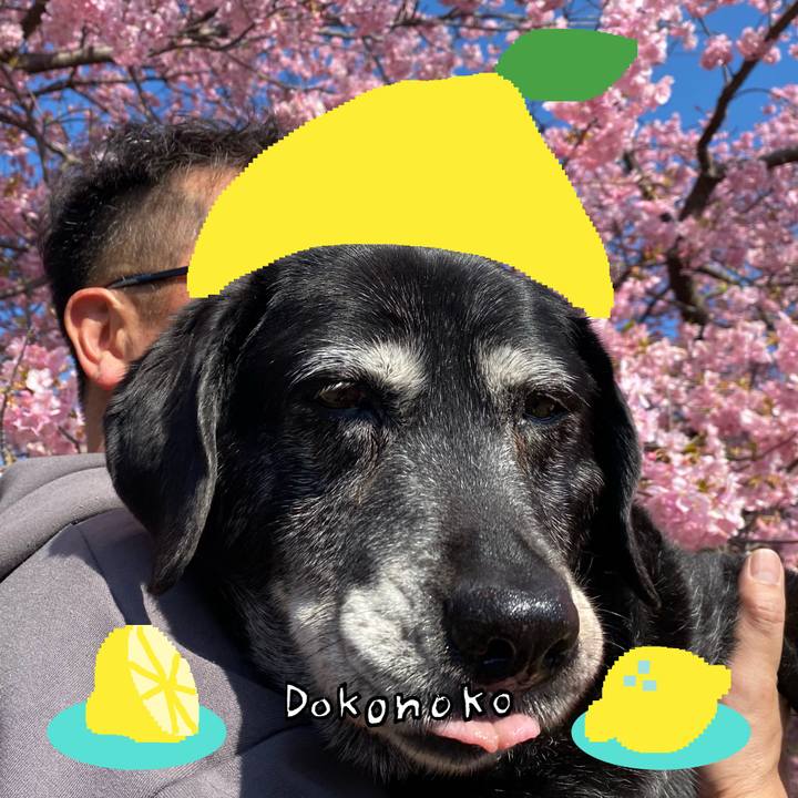 Dec4caa6 b468 4bcb b8dd 837275bfdfd2 1741064520483