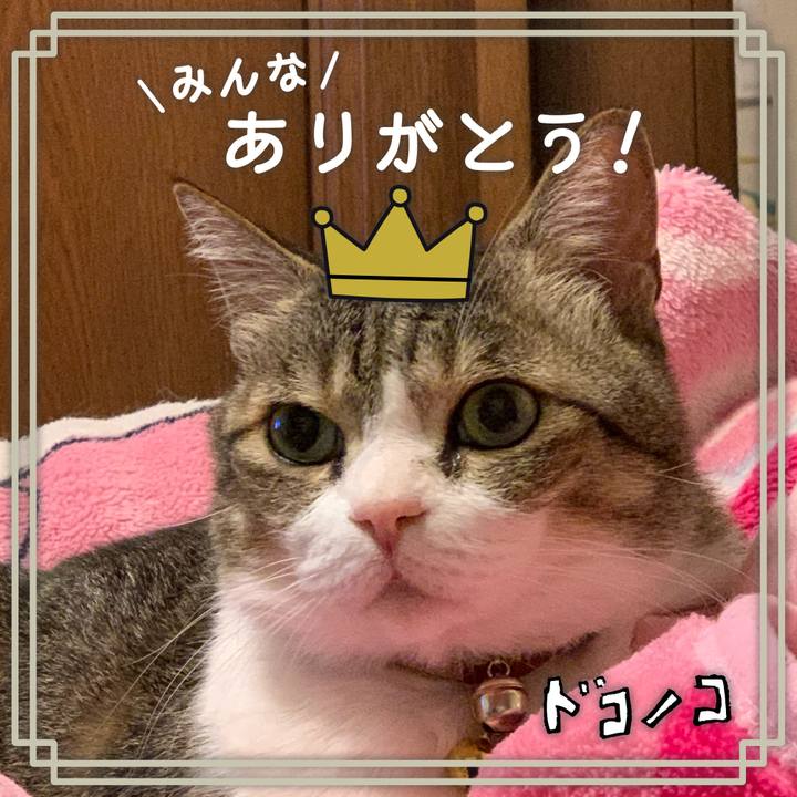 Dec4ce03 a3f1 41af affc f8b04945c806 1622880957144