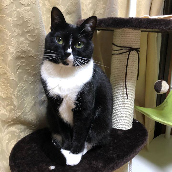 Dec4d58d bbc3 4fce aafa 9c94d28d508d 1586209544129