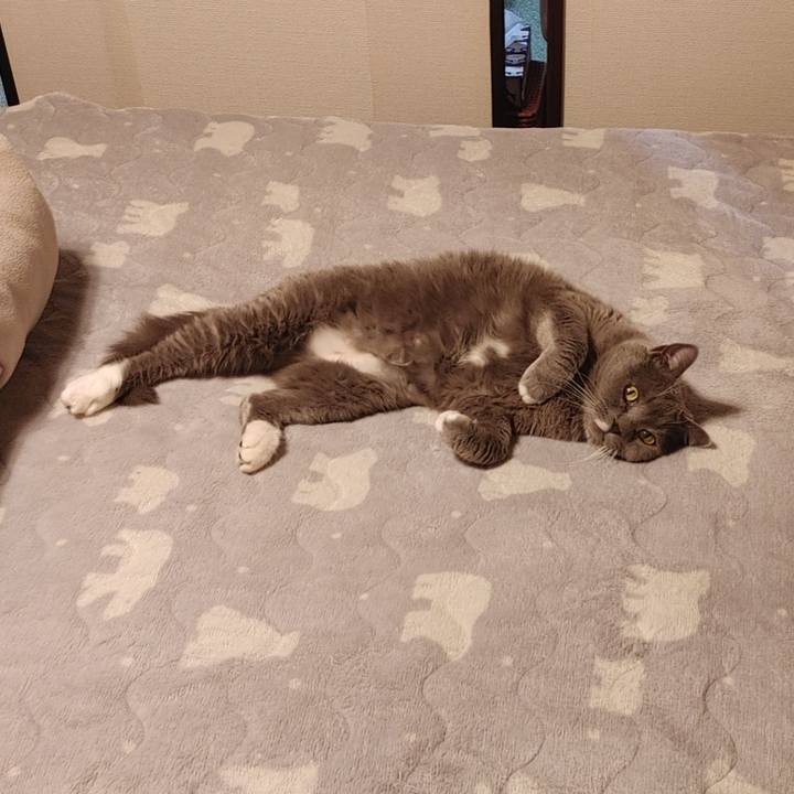 Dec5a104 3516 4823 888a da76a6c5fc5f 1737900505816