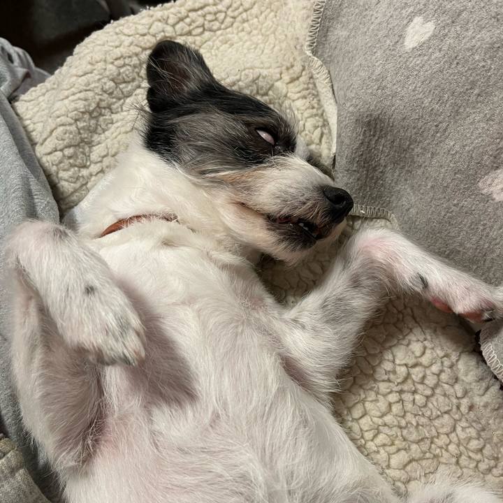 Dec5a30f 5371 4032 8ae4 4985f7f9d65c 1708737531051