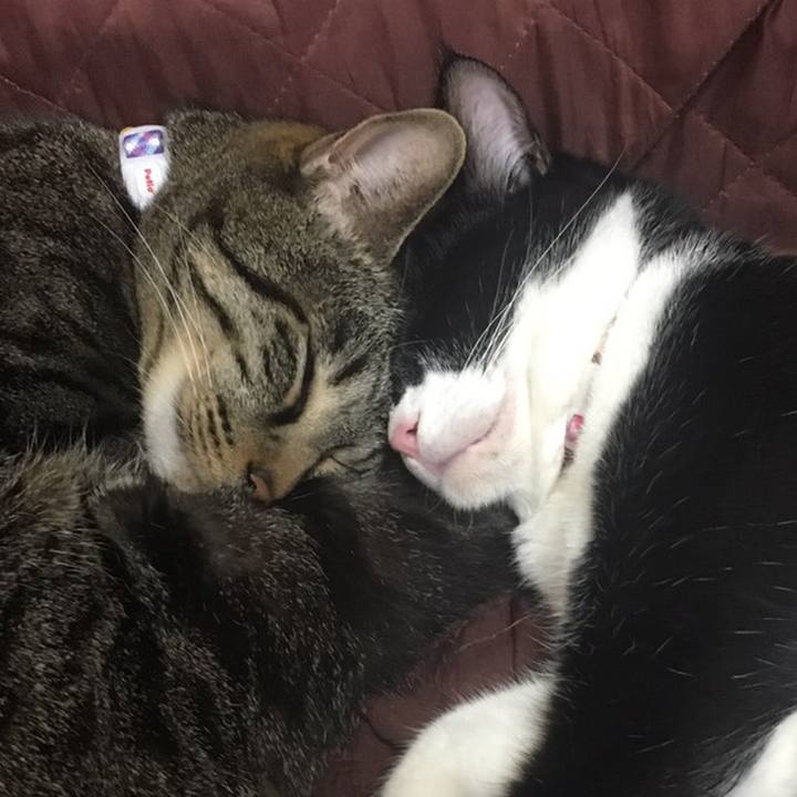 Dec5b0a7 97ad 4bea 8881 6b6125204683 1545509970612