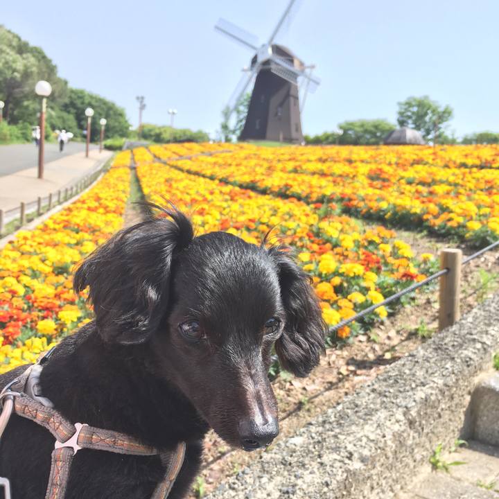 Dec5d8ff 6390 4a40 8e45 0c4a207fb2b6 1614991889629