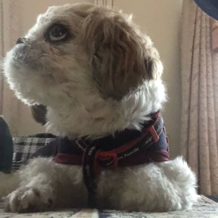 Dec62609 67d2 4dba bf02 b77ce0811622 1602711845472