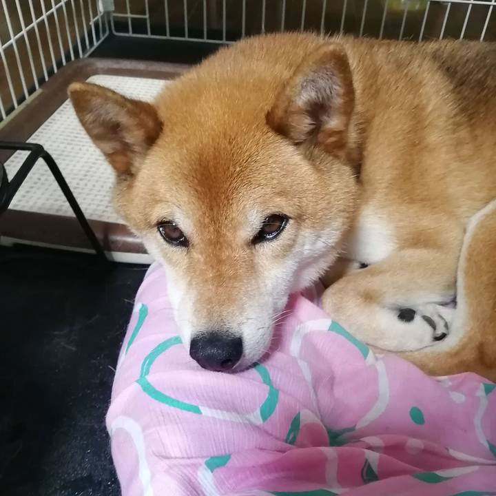 Dec638da 96d5 4428 8827 486ef25617d5 1594282485487