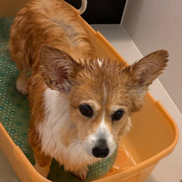 Dec64abe 0a7c 426f 8915 95366ce82d22 1773307028817