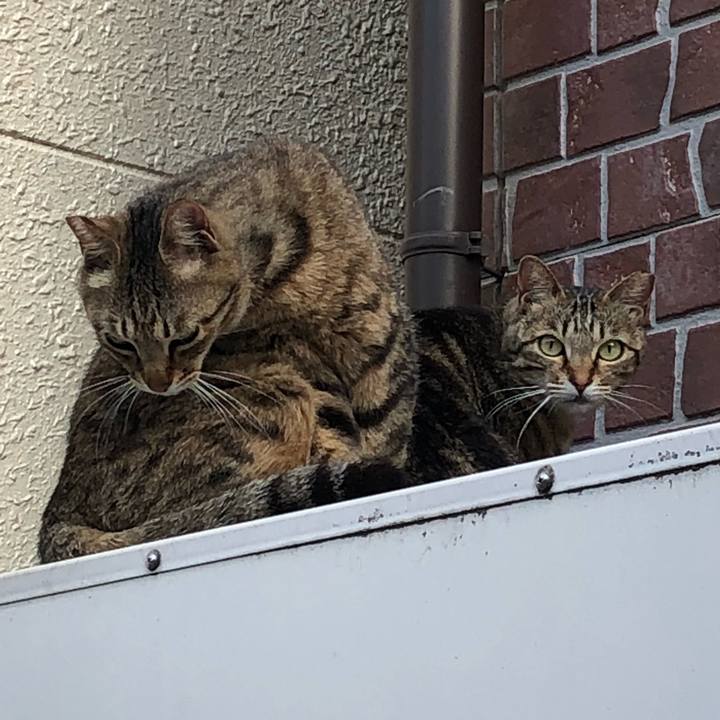 Dec64f40 bbdb 4c06 871a 849b6065429b 1527171431212