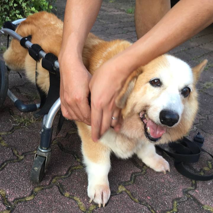 Dec660a2 2542 48f4 975f c0ffe7ac4bb7 1565952866954