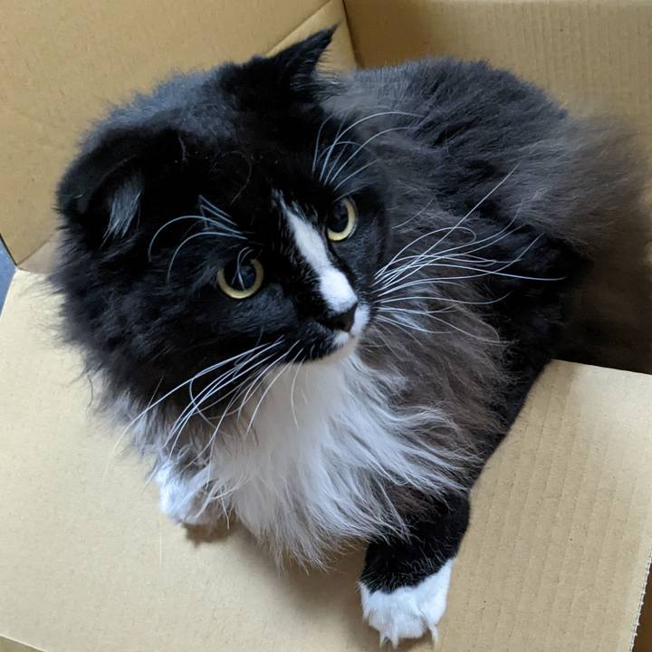 Dec67d78 6630 436c b40c a4ef2d93d44c 1668133018789