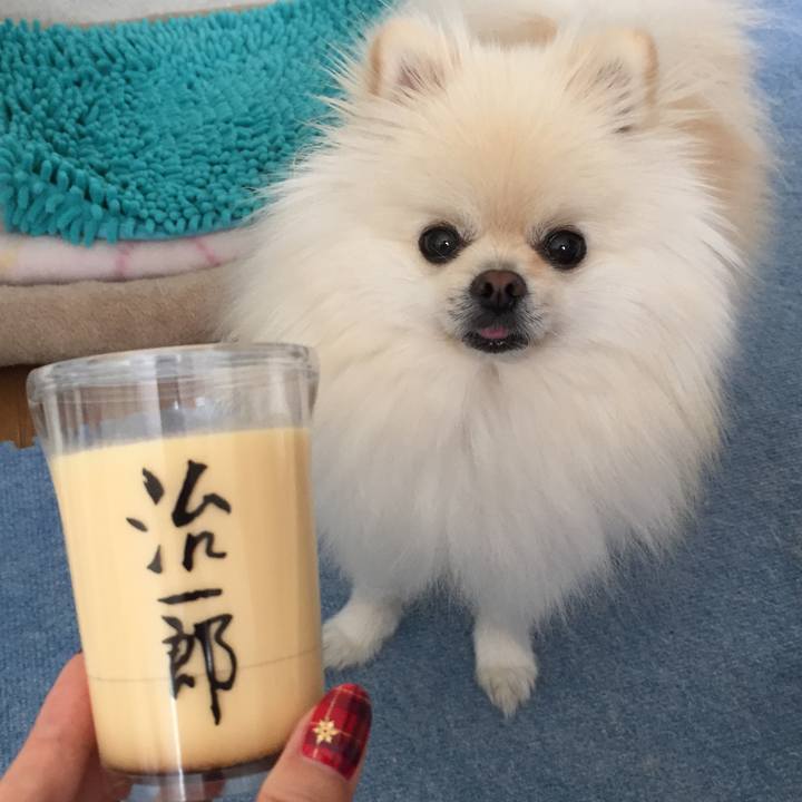 Dec68229 ed4a 49ca b837 7ab748da85ec 1541903995689