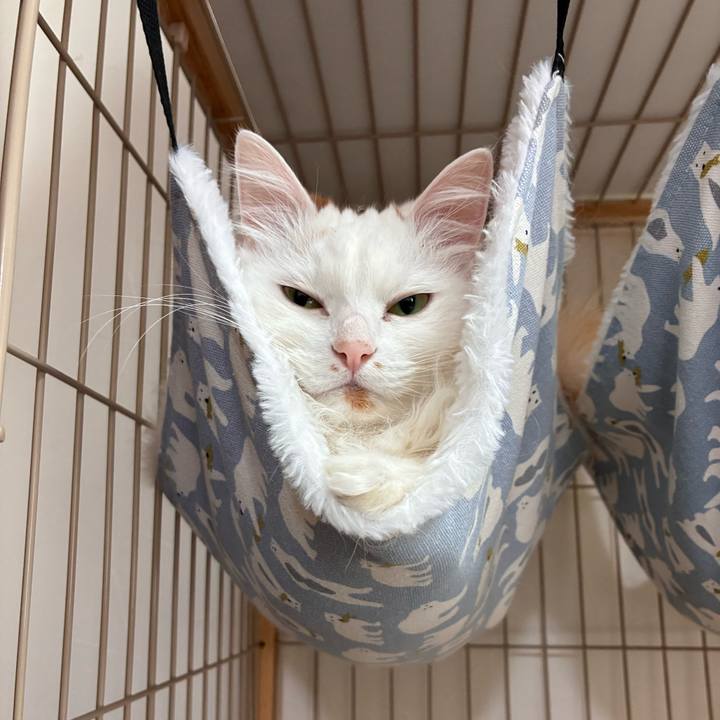 Dec6b3fb 5fe7 4494 9791 9e7008c099e6 1774754182859