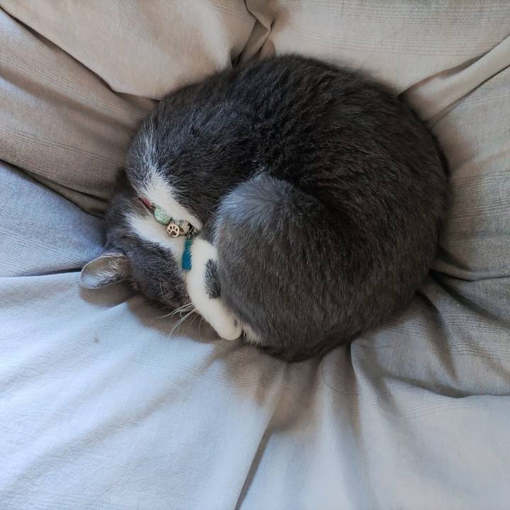 Dec6c58d 9b49 4fca 902e a5a02ca4348f 1673151161786