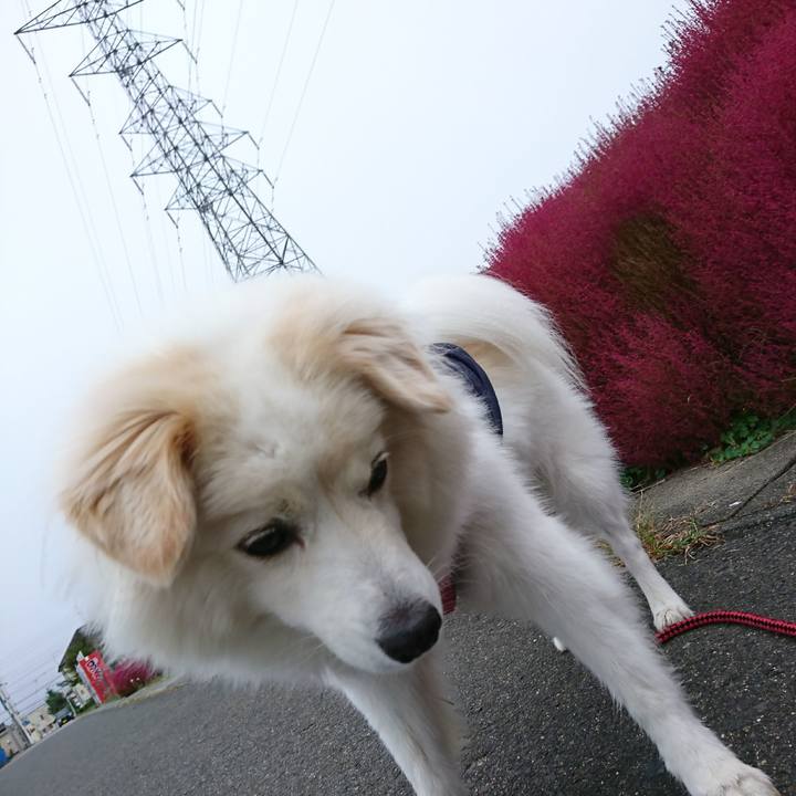 Dec70f6f 1aa4 4335 bd45 a9875ef62917 1508018418897