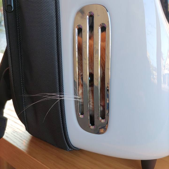 Dec72de3 987b 4469 932d 9b2df0796548 1681718027600