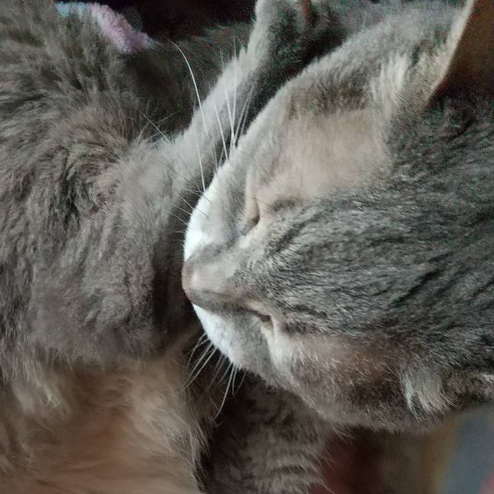 Dec75adf 84d4 4a4a 94ff 2adb3dfa06f2 1692075291543