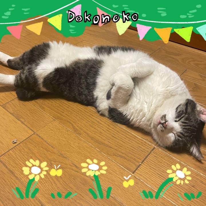 Dec77263 fe7f 49dd a543 6b3339bdcfd7 1711240945702