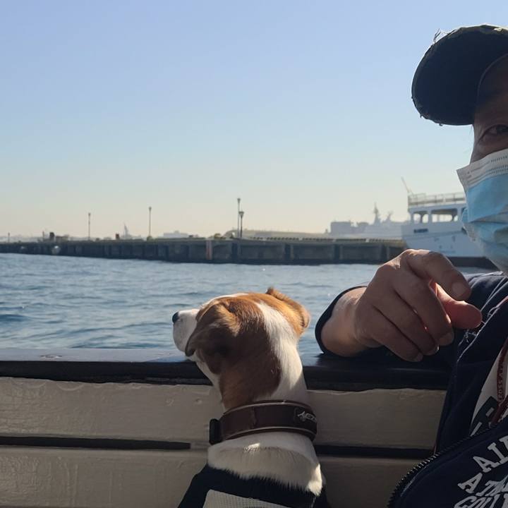 Dec7739c 130b 430a b28c 6ccbb2e8d4d9 1667515209432