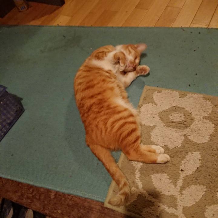 Dec77454 e71c 4ca8 877a 4d55ad0dd63f 1572425773355