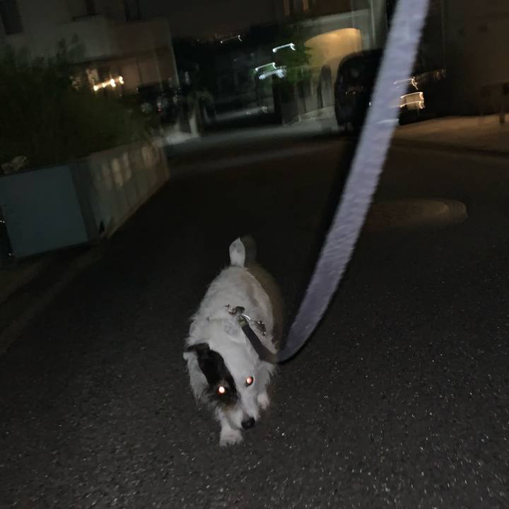 Dec77d8c 1db6 48e5 8880 b670c9333662 1751893665255