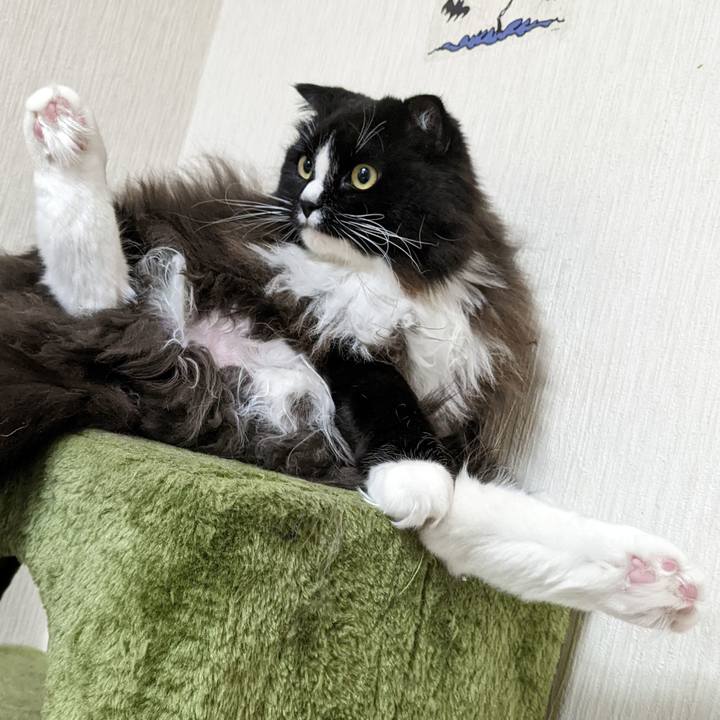 Dec7903c 84d8 4fcf 990a c087570c5426 1667871822399