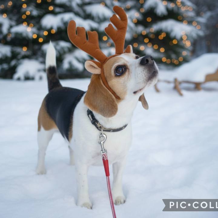 Dec7bd47 ea8b 4829 9ff6 e7bb34814f90 1766532521444