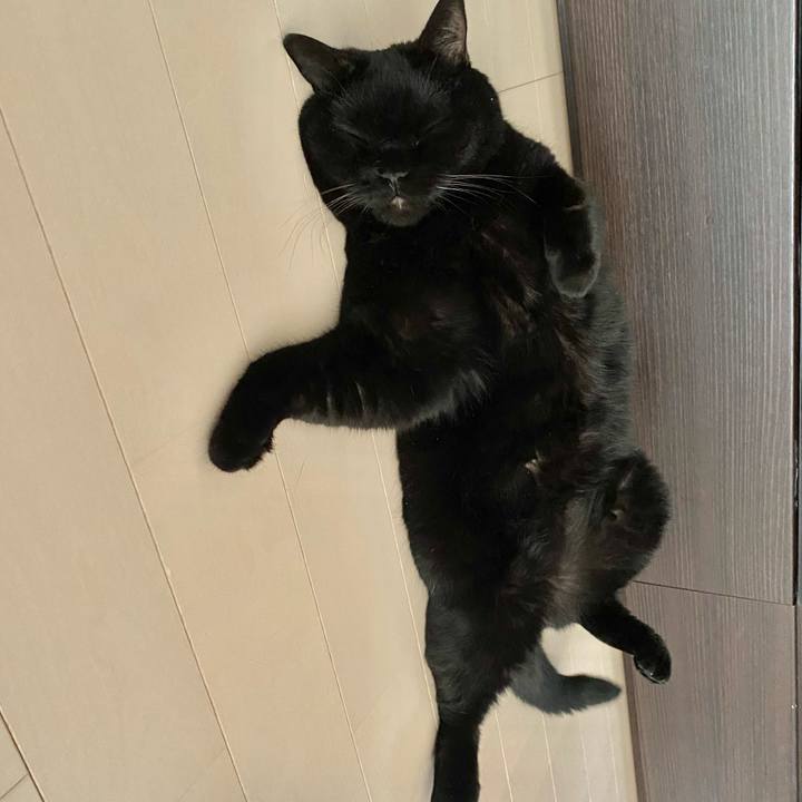 Dec83460 b427 4b96 a4bf 3062cc1e004a 1694764601251