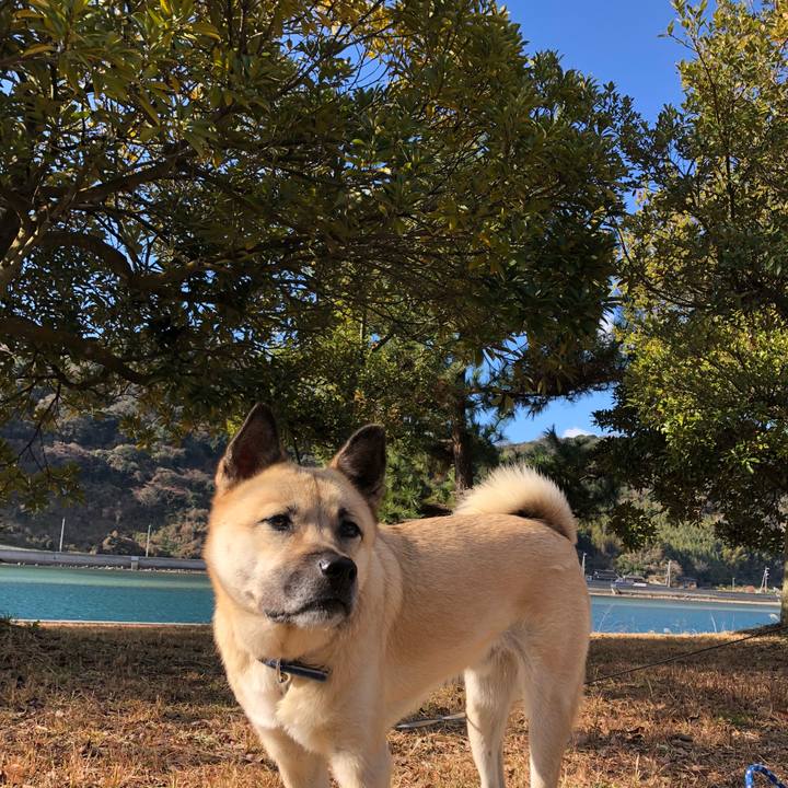 Dec872fe 6c9c 4a3f 9fe3 71c552beaee0 1546052024957