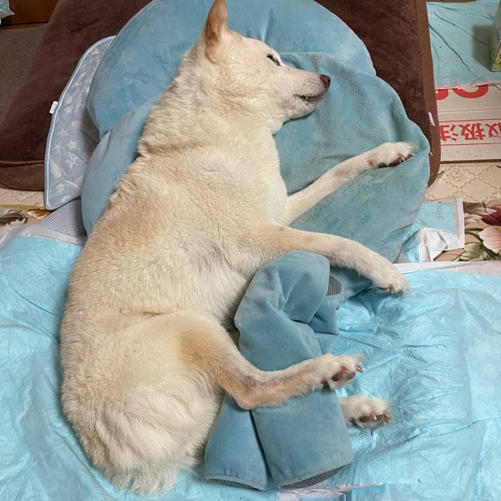 Dec8911e d818 4a26 9e10 7c7273bbb766 1659516990552