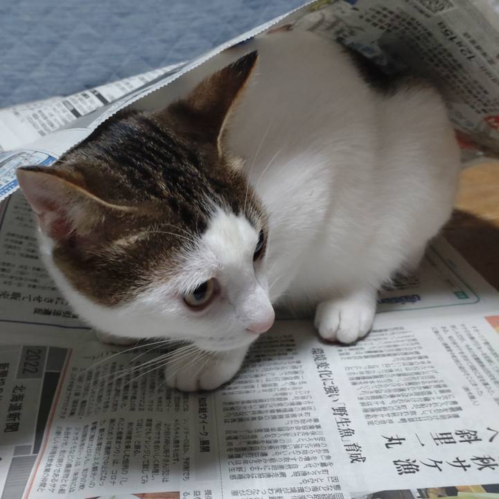 Dec897b4 c28f 4dde ad37 994addc810bd 1666256674506