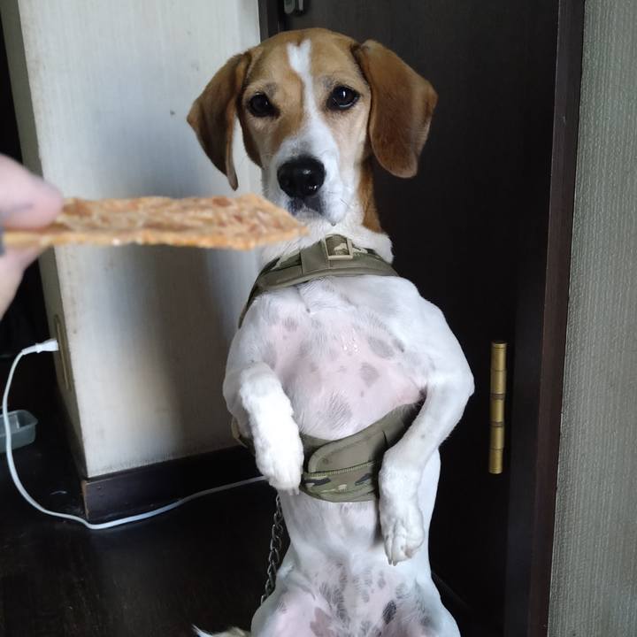 Dec8c445 6adc 40fe a425 05721e8f4bf5 1667056784787