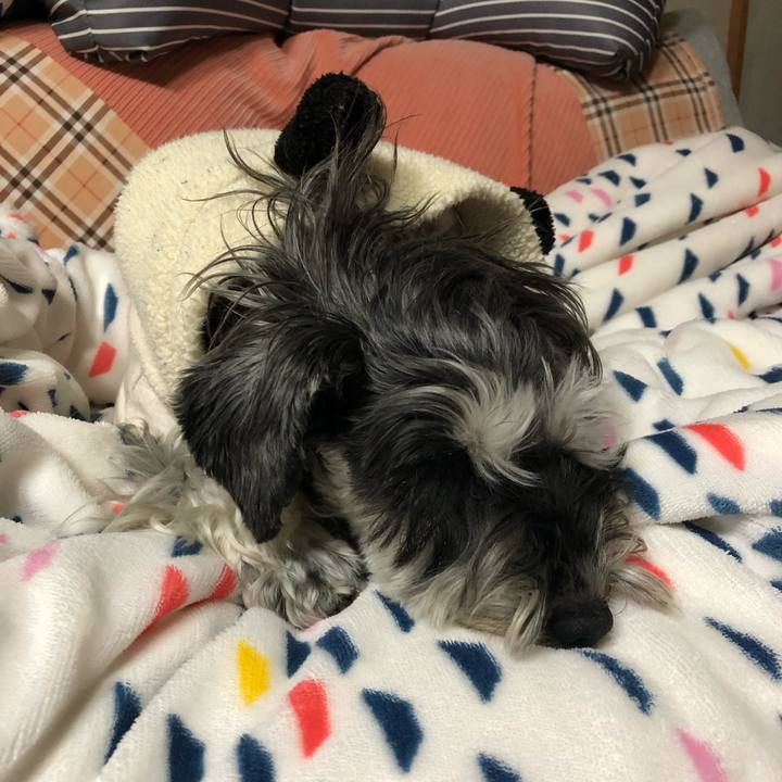 Dec8d8ad 58fd 4925 b9b8 0d703dc338fd 1706622431605