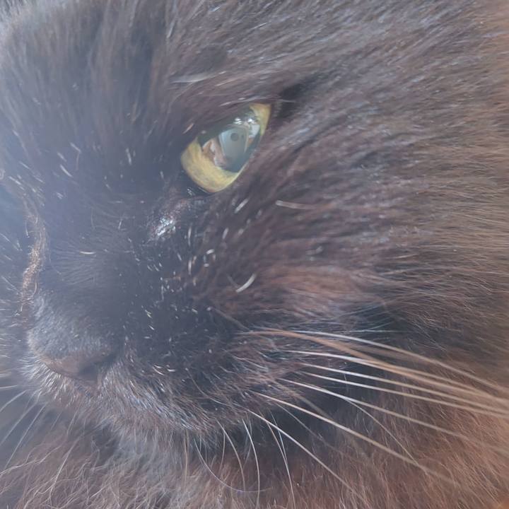 Dec923f2 d1b8 4fdf a873 6d4f47d1cde7 1719011972077