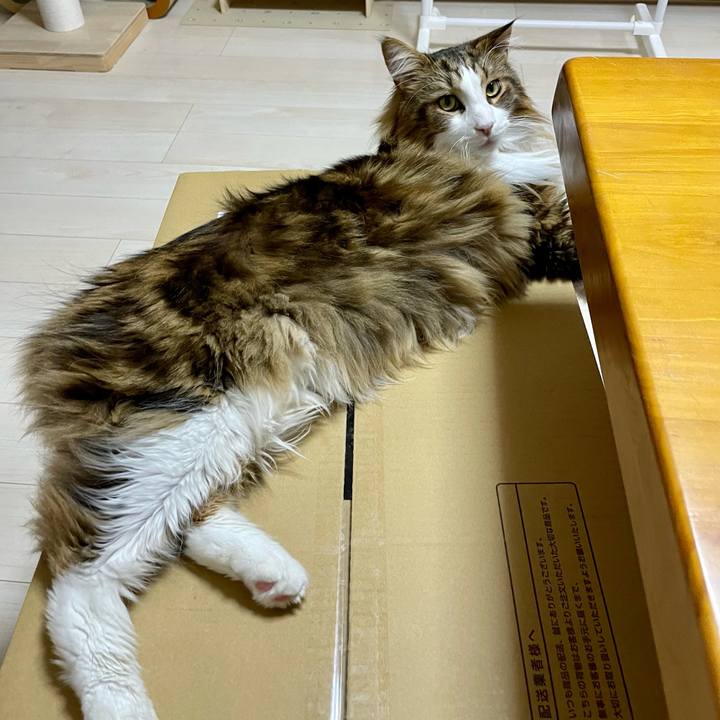 Dec92b40 31ad 4a2c bc96 8407188b5910 1674037801970