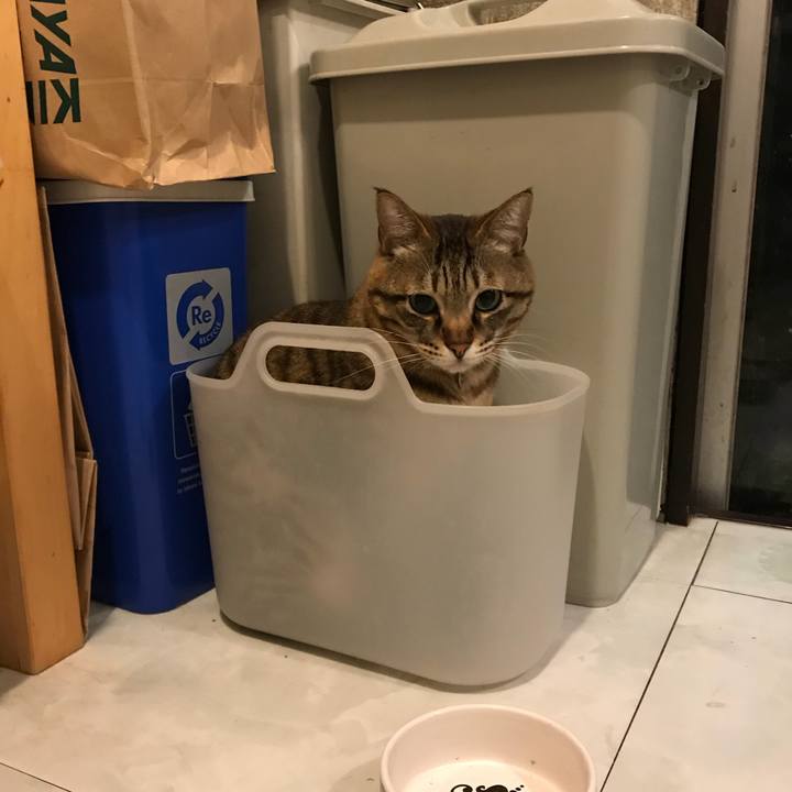 Dec95419 c830 4a75 90af e9039f5ab099 1523957583235