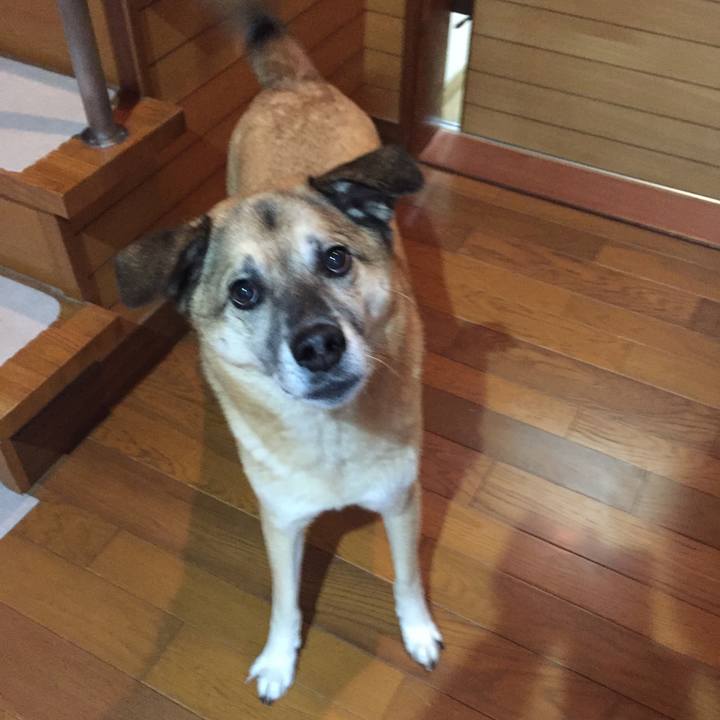 Dec96d48 dc16 42c5 9076 ecfe19b14eb3 1511952901344