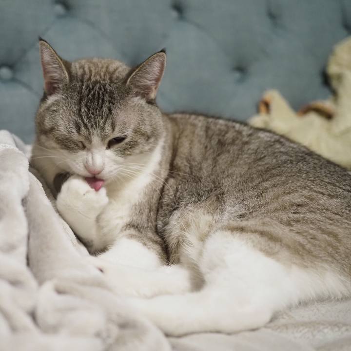 Dec9e2ed f180 4ee0 ba02 bc317553a04a 1629196723457