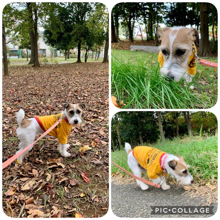 Deca08a4 e310 46c3 b463 8e40634a6533 1605166378012