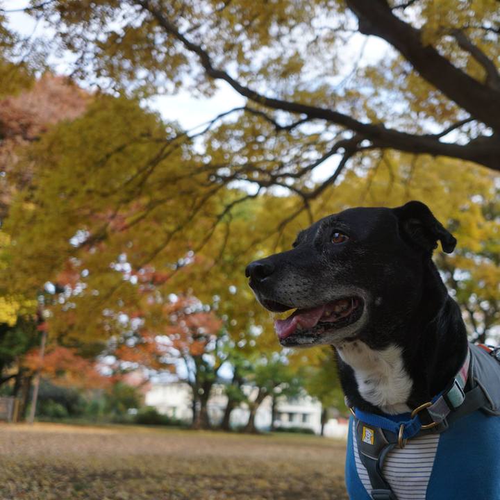 Deca438b 4ee8 4cc9 81b9 cfa3d24e6524 1763433043662