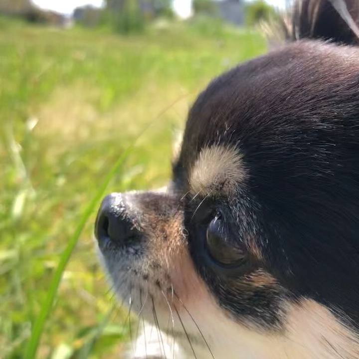 Deca74f1 cddc 4d5b 9efe e54c5eb76a89 1589347258409