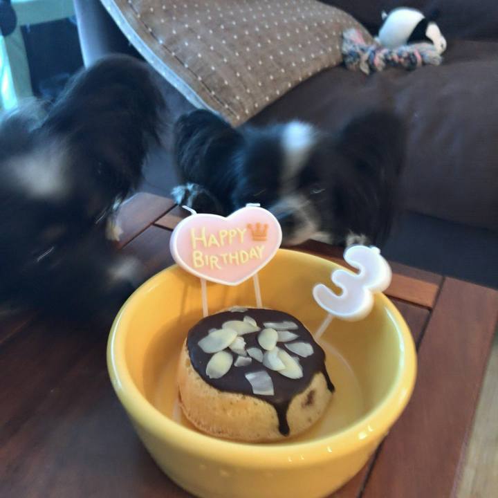 Decada92 6bc3 4972 b598 0e6a66c03767 1538432930933