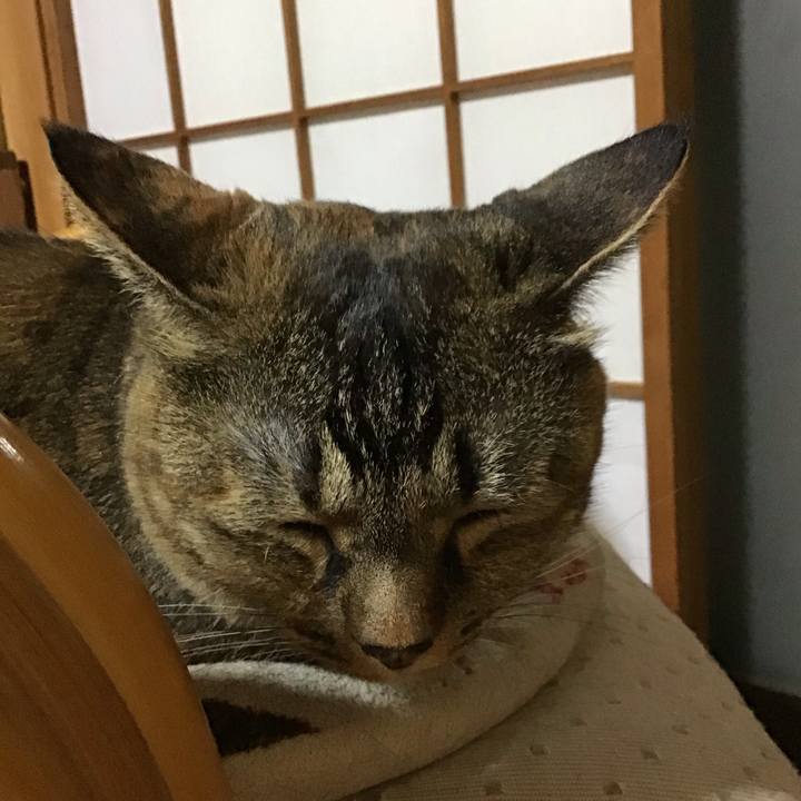 Decb0ea2 65b0 4e6e a800 a755754cb30b 1726652948418