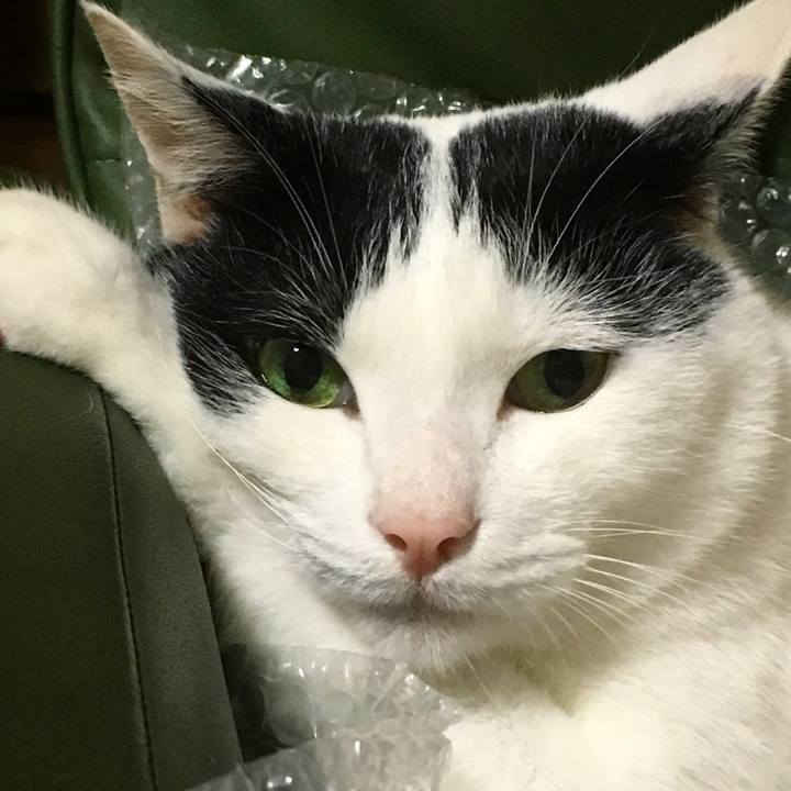 Decb4fb7 b0fc 4138 a5c9 dd0df0c54cb6 1529758629944