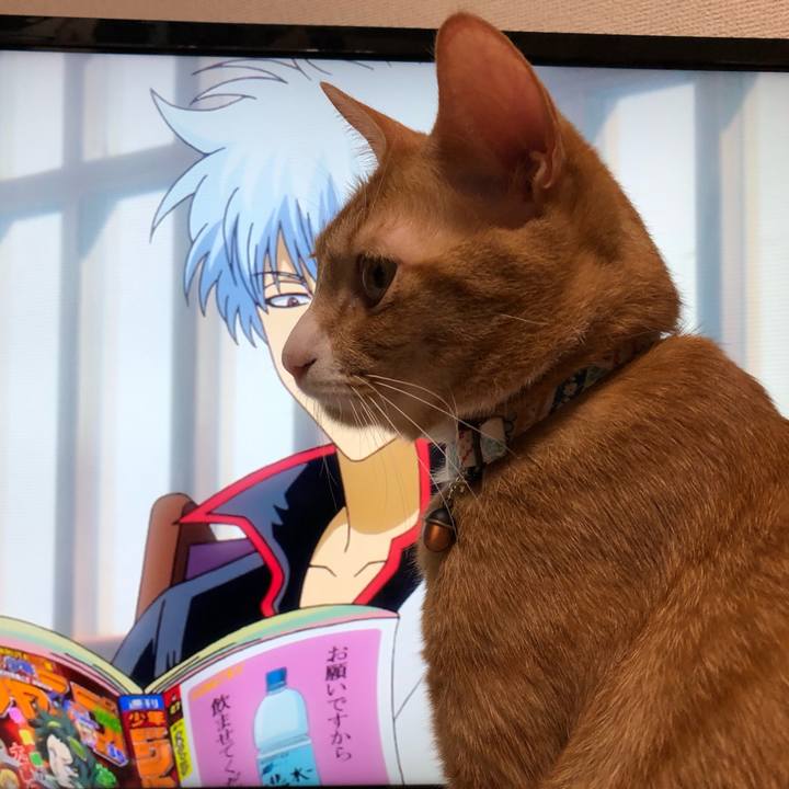 Decb7241 03fe 4335 b908 915bb77dd63c 1564151003433