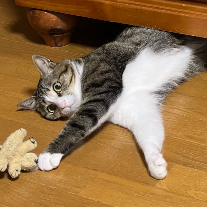 Decb8775 5ada 482f b0aa 5c0d8bd18cbe 1723889545380