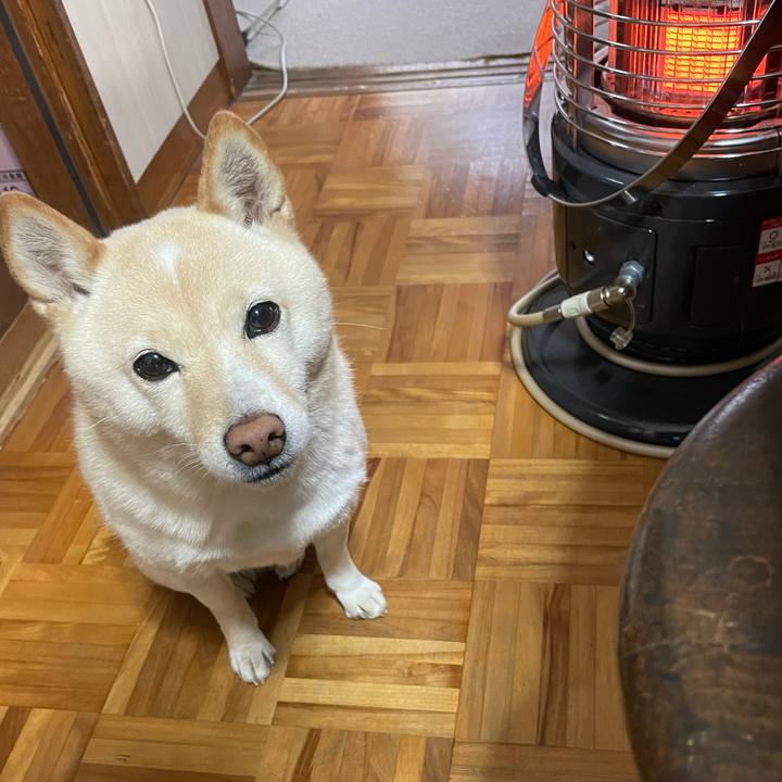 Decb8f1e fd82 4521 9a27 fb91744b2061 1672958648586