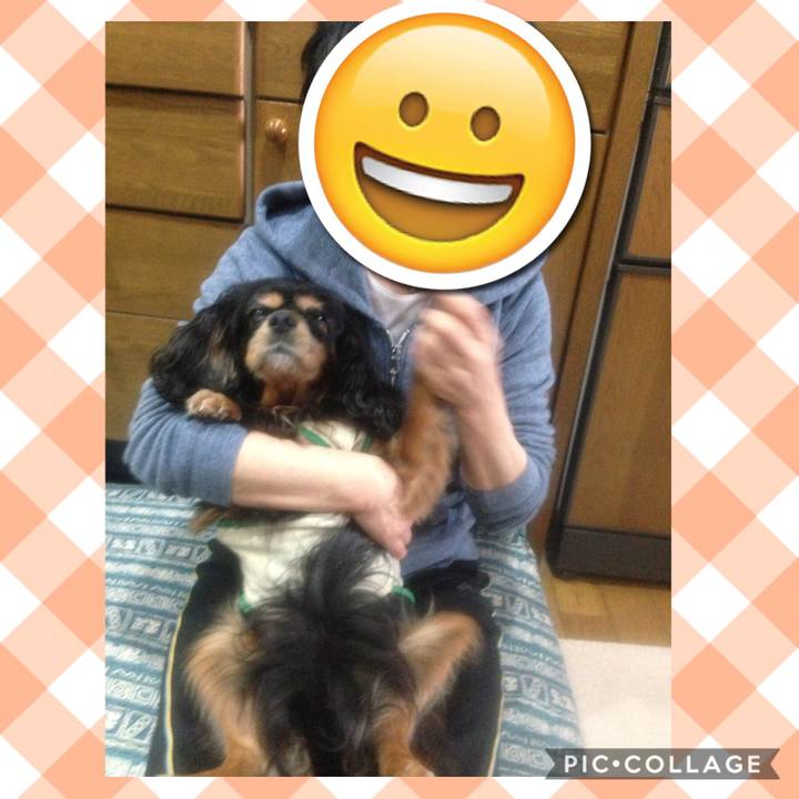 Decb9765 0ff0 453e ae51 8d352f4fa7ec 1535955534401