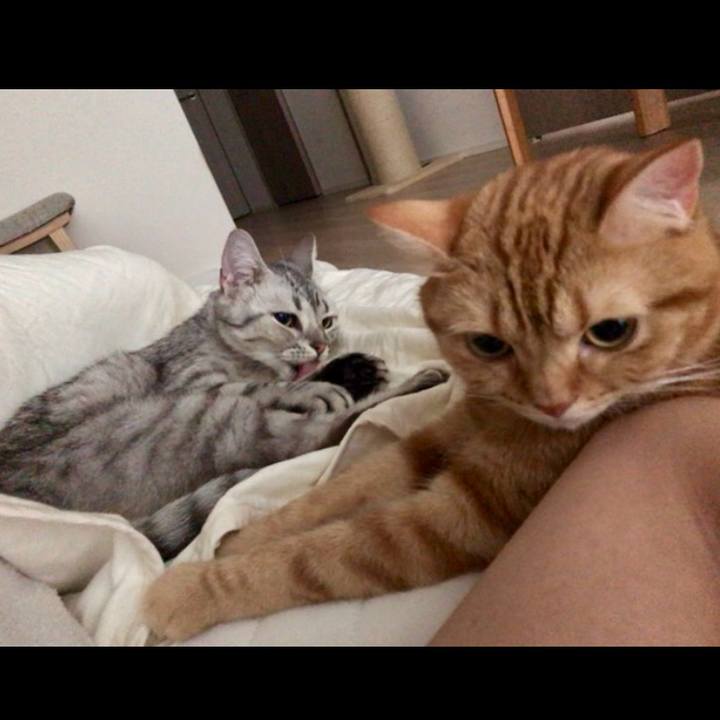 Decb9f40 205f 4029 9d74 6ab3f850256e 1531167854702