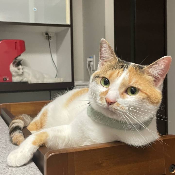 Decbb1ce bfc4 4141 9785 e7bd3bbe6052 1663404956675